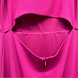 Express Size L Women's Solid Fuschia Empire Waist Sleeveless Sheath Dress