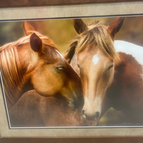 Large Framed Photo of 2 Horses