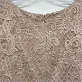 Alex Evenings Size 12-L Women's Champagne Lace Maxi Dress