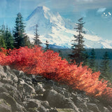 Photograph from Mt. Hood National Forest, Oregon