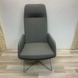 Accent Gray Solid Chair