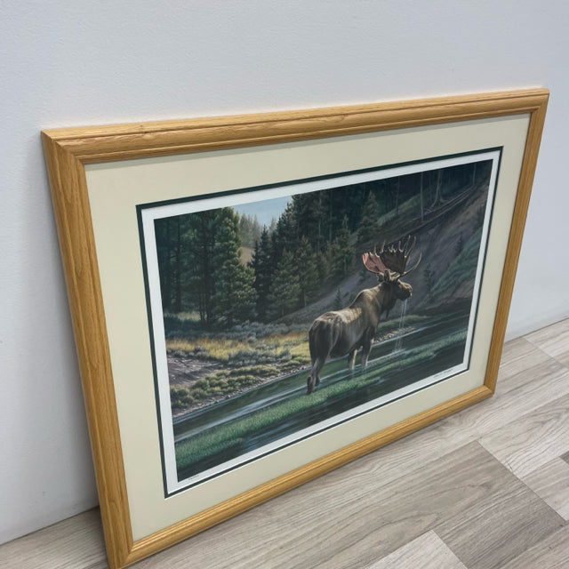 Framed and Signed Print of Bull Moose. Fall on the Yellowstone by Paul Krapf