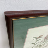 Wood Framed Vintage Botanical Print