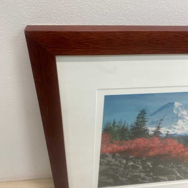 Photograph from Mt. Hood National Forest, Oregon