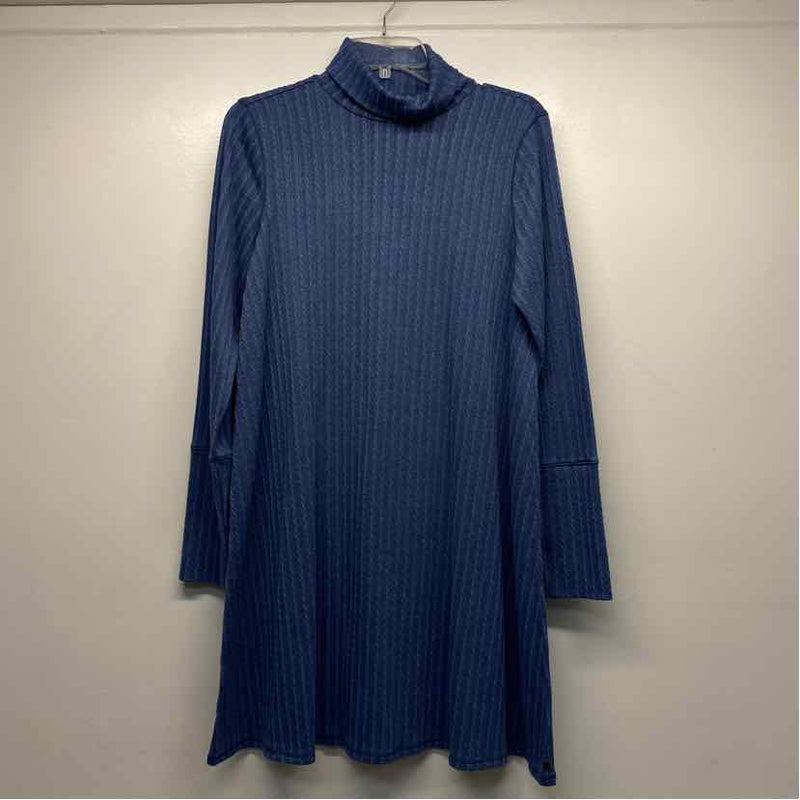 Hatley Size L Women's Blue Textured Shift Long Sleeves Turtleneck Dress