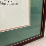 Wood Framed Vintage Botanical Print