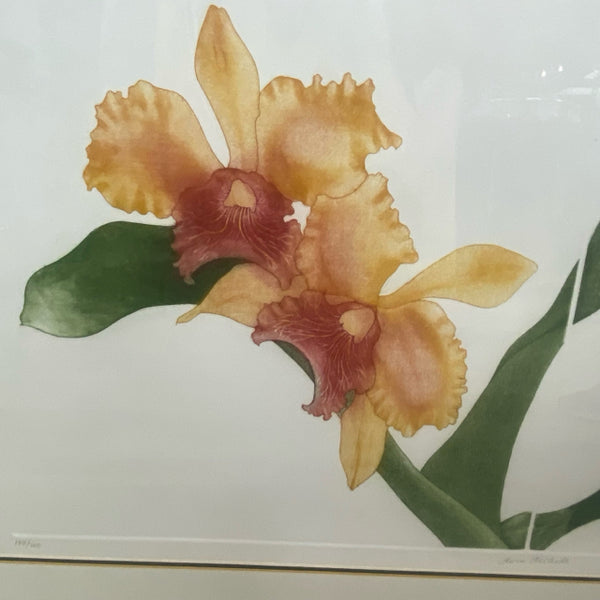 White-Peach  - 149-200 2 Orchids signed Painting