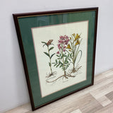 Wood Framed Vintage Botanical Print