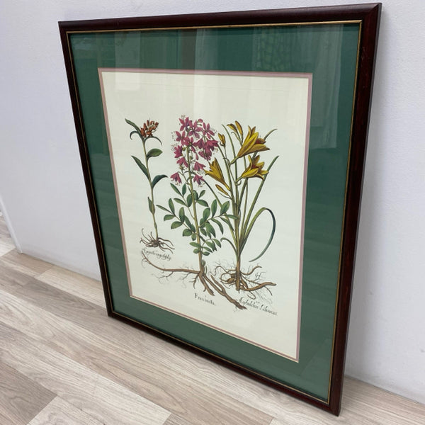 Wood Framed Vintage Botanical Print