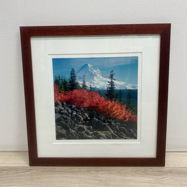 Photograph from Mt. Hood National Forest, Oregon