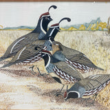 Brown Wood Framed Painting Gambel Quail by Norma J. Jepsett 1971