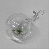 Artful Home Hanging Clear Glass Ball Ornament w Paper Lily Inside