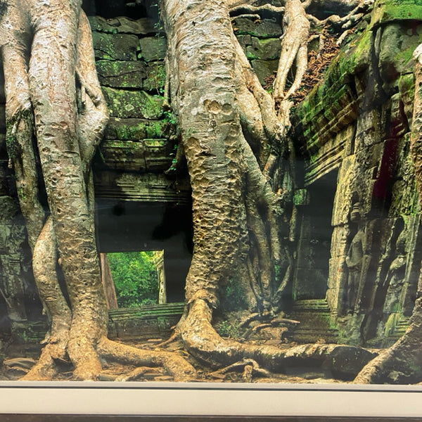 Angkor Wat - Tom Till Gallery photography