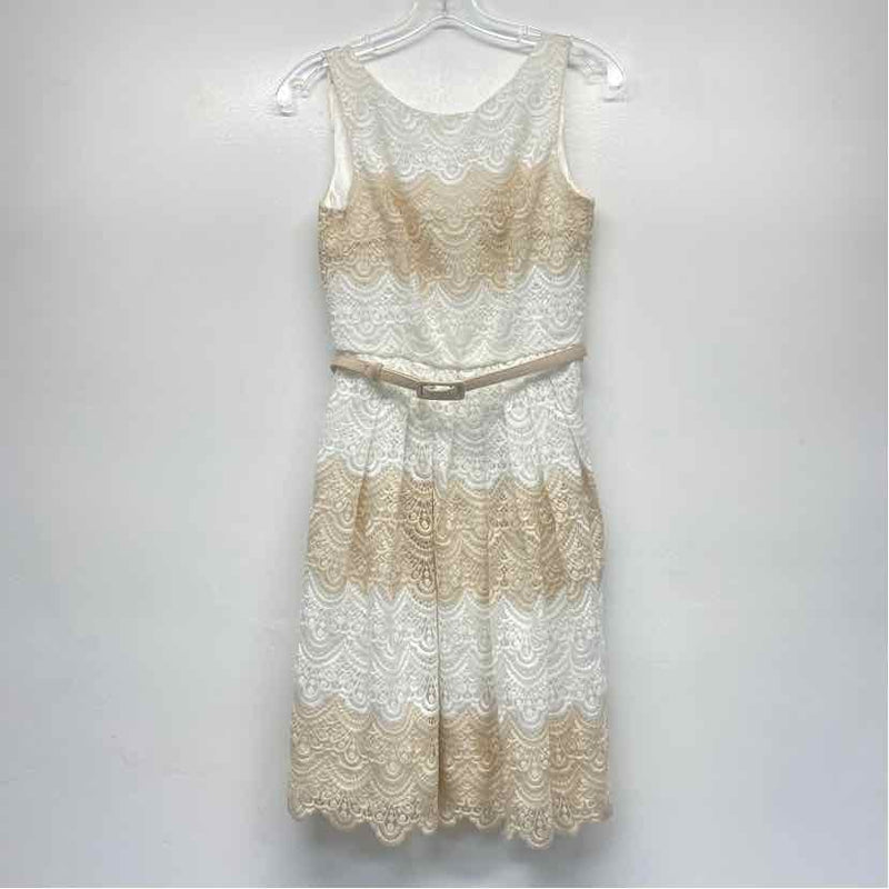White House Black Market Size 0-XS Women's Tan-White Stripe Fit And Flare Dress
