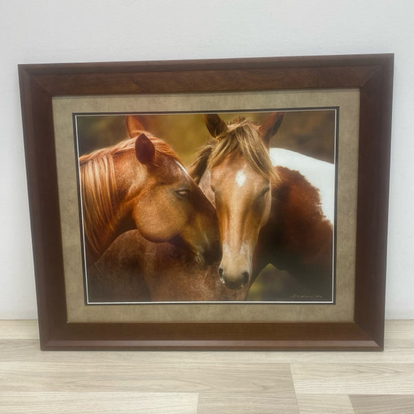 Large Framed Photo of 2 Horses