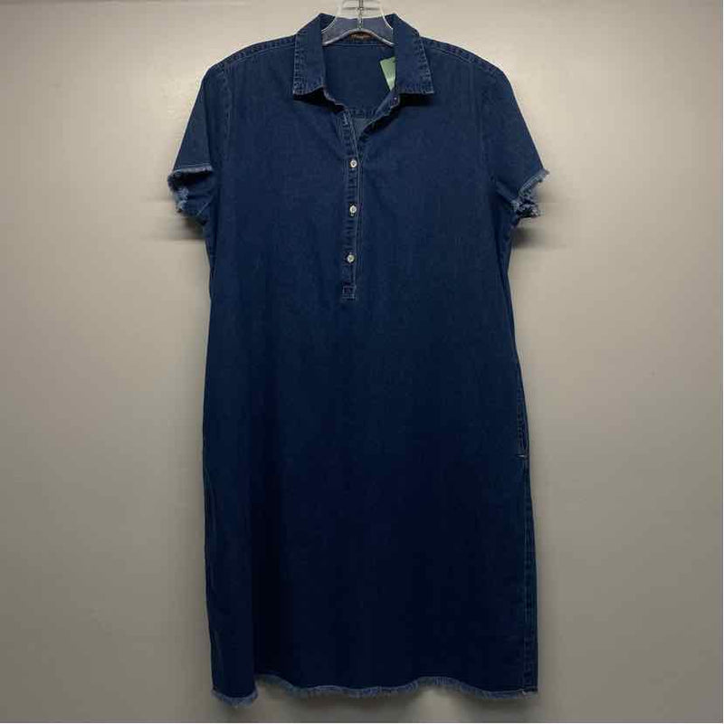 J.McLaughlin Size L Women's Blue Shift Dress