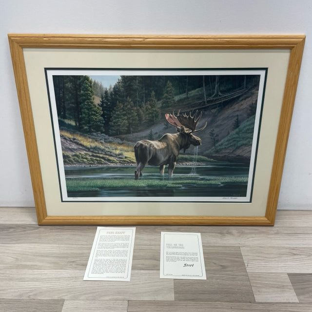 Framed and Signed Print of Bull Moose. Fall on the Yellowstone by Paul Krapf