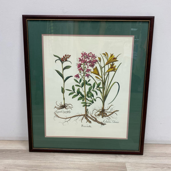 Wood Framed Vintage Botanical Print