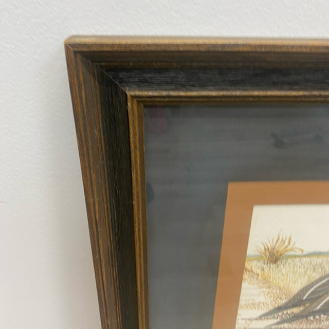Brown Wood Framed Painting Gambel Quail by Norma J. Jepsett 1971