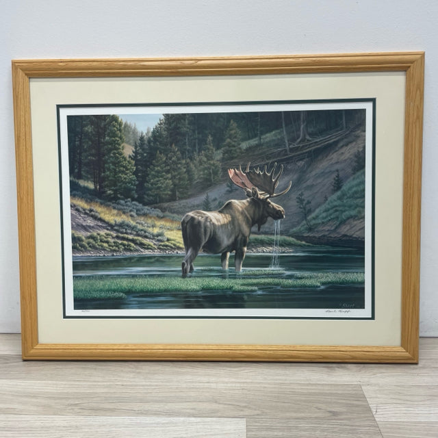 Framed and Signed Print of Bull Moose. Fall on the Yellowstone by Paul Krapf