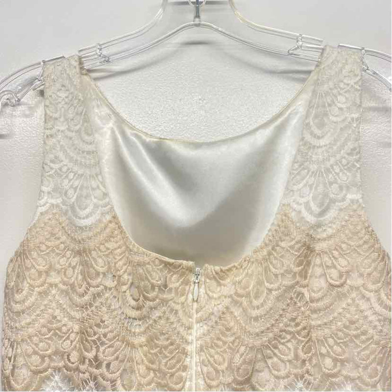 White House Black Market Size 0-XS Women's Tan-White Stripe Fit And Flare Dress