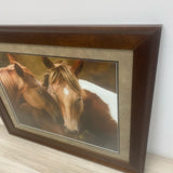 Large Framed Photo of 2 Horses