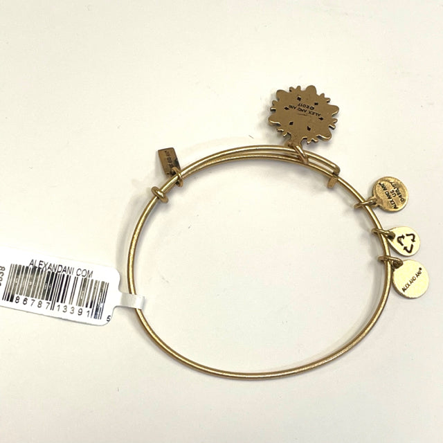 Alex and ani you hot sale are my sunshine bracelet