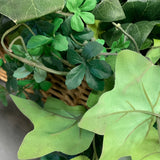 Everlastig Green Plant in a wicker basket