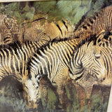 Bronze-Multi Zebras  Print