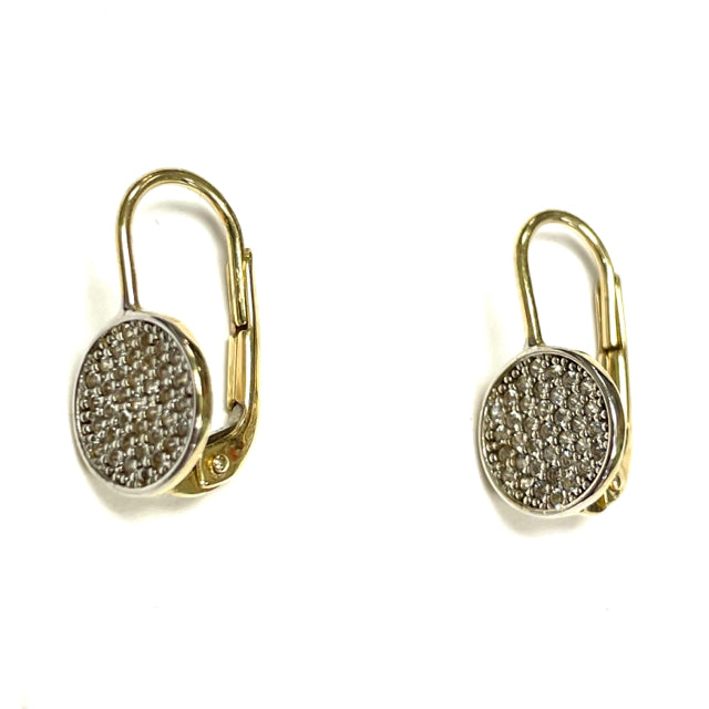 10K  Gold Circle Sparkle Earrings